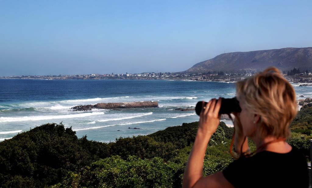 Hermanus Beach Villa Εξωτερικό φωτογραφία