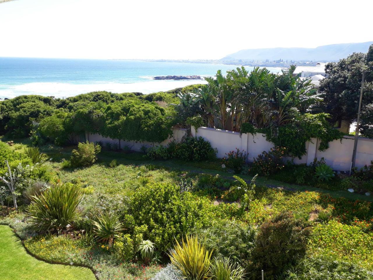 Hermanus Beach Villa Εξωτερικό φωτογραφία